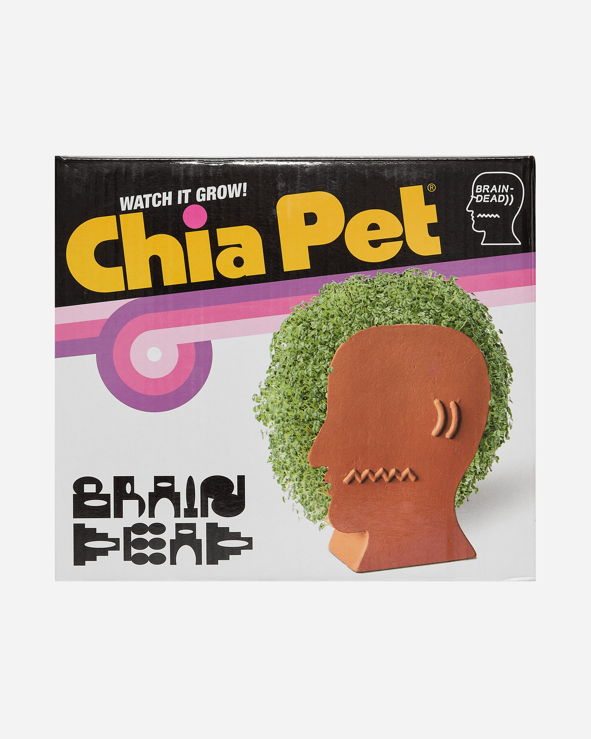 Brain Dead Brain Dead Logohead Chia Pet Green Multi Homeware Design Items BDW22A28003326GR21 GR21