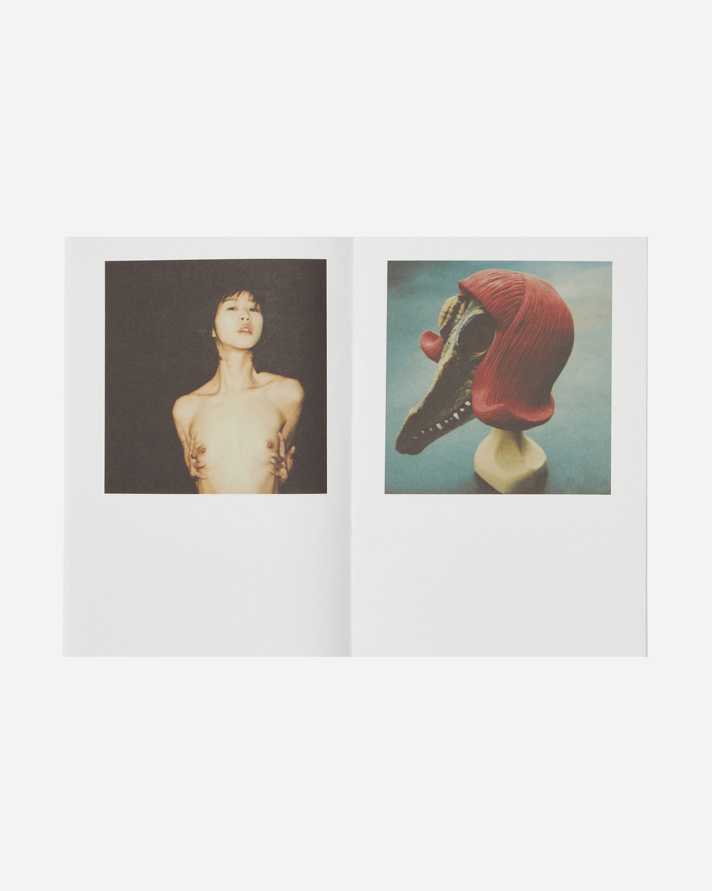 Innen Publishing Nobuyoshi Araki: Polanography Multicolor Books and Magazines Books IPNOBOARAKI 001